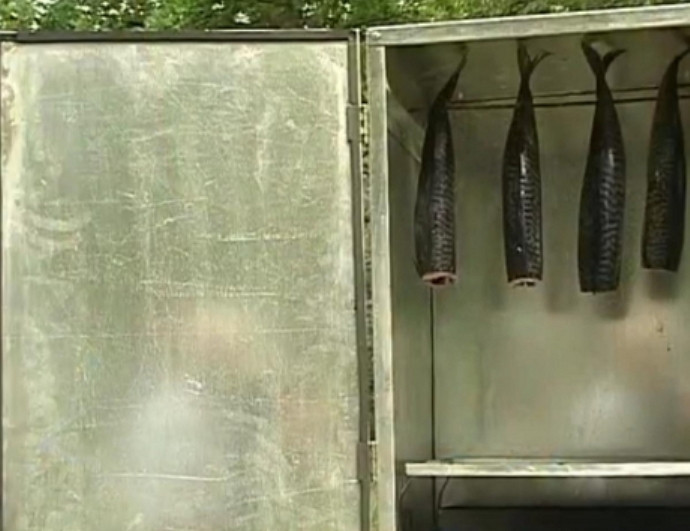 1. Этап. Скумбрия копченая: Просоленную скумбрию промойте от излишков соли, удалите влагу бумажным полотенцем. Затем подвесьте рыбу в прохладном помещении на несколько часов просохнуть. После этого поместите её в коптильную камеру. Поддерживая температуру не более 25 градусов, коптите скумбрию на протяжении 24 часов. Больше температуру нельзя делать, так как из рыбы вытечет жир