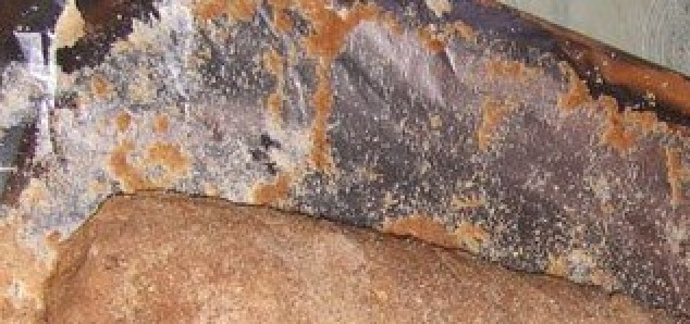 1. Этап. Рулет из говядины с черносливом: Посыпаем панировочными сухарями.