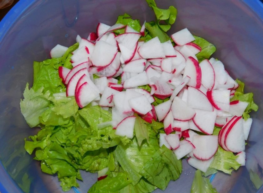 1. Этап. Овощной салат с кукурузой: Листовой салат крупно нарежьте или просто порвите руками. Добавьте к нему тонко нарезанный редис.