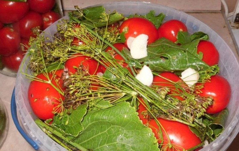 1. Этап. Соленые помидоры без закатки: После томатов снова кладем чеснок, листья и т. д. Повторяем слой помидоров и накрываем сверху листьями.