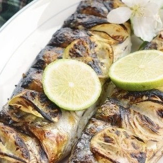 Скумбрия на углях