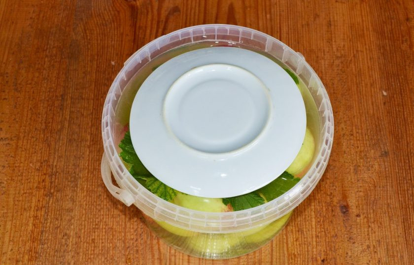 1. Этап. Моченые яблоки с медом: Накройте, чтобы яблоки находились в рассоле. Оставьте в тепле на 4-5 дней. По мере необходимости можно подливать оставшийся рассол. А после переместите в прохладное темное место на месяц-два.