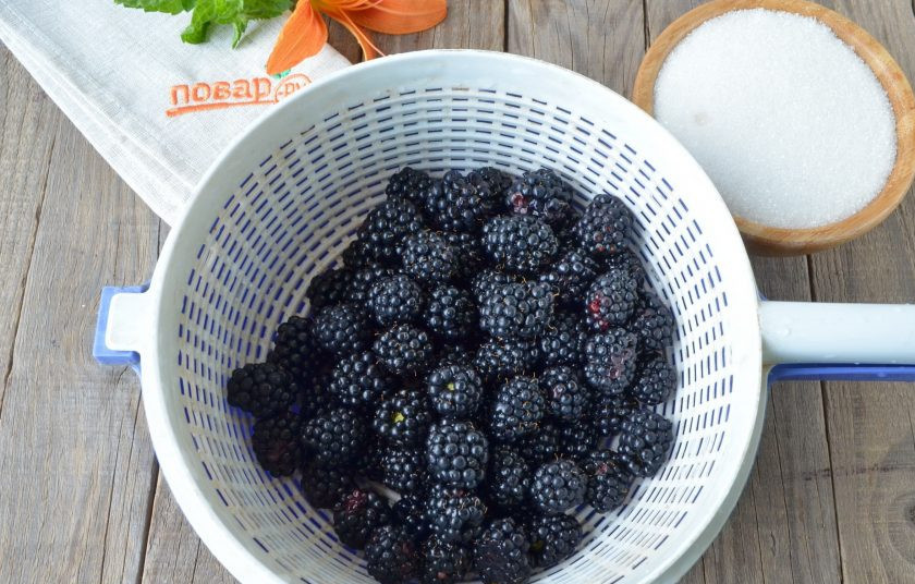 1. Этап. Варенье из ежевики без варки: Ягоды тщательно вымойте под проточной водой. Удалите хвостики, если они есть. Очень важно, чтобы в варенье не попала пыль, грязь, мошки, порченные ягоды, ведь варенье вариться не будет, а сахар не спасет больные ягоды.