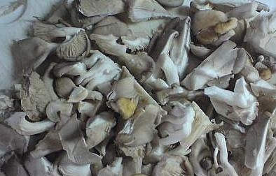 1. Этап. Вешенки, жареные с картошкой: Нарезать вешенки произвольными кусочками.