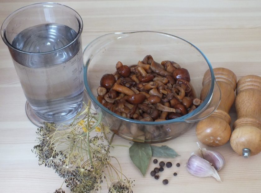 1. Этап. Засолка опят горячим способом: Подготовьте необходимые ингредиенты. Опята должны быть заранее вымытыми и почищенными.