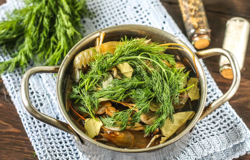 1. Этап. Вареные раки с укропом: Разберите пучок укропа и промойте в воде, выложите сверху. Все это нужно проделать быстро, пока раки не выбрались из кастрюли. Затем влейте в емкость горячую воду. Лучше всего вливать кипяток и сразу ошпаривать раков. Поместите емкость на плиту и отварите около 25 минут. Желательно накрыть кастрюлю крышкой.