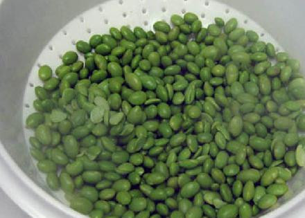 1. Этап. Тройной бобовый салат: Промываем готовые зеленые бобы и смешиваем в большой миске с остальными бобовыми.