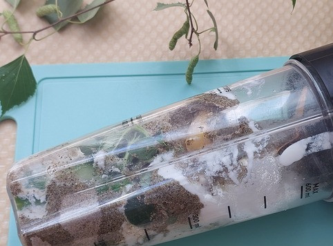 1. Этап. Смузи с кабачком, огурцом, мятой, коноплей: Поместить ингредиенты в блендер. Зелененький порошок - это конопляная мука.