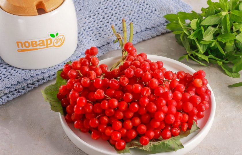 1. Этап. Заморозка калины на зиму: Приобретите или сорвите гроздья калины.