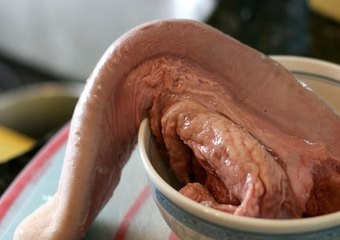 1. Этап. Бефстроганов из языка: 1. Язык - это весьма вкусный продукт, который нуждается в предварительной обработке. Многие очень любят блюда на его основе, поэтому бефстроганов из языка в домашних условиях будет отличной альтернативой привычному гуляшу из мяса.