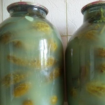Соленые огурцы без уксуса на зиму