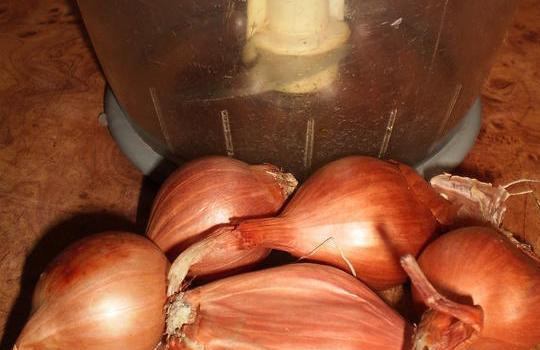 1. Этап. Салат на зиму из перца: Теперь измельчаем репчатый лук в блендере или нарезаем его мелко и так же жарим до прозрачности.