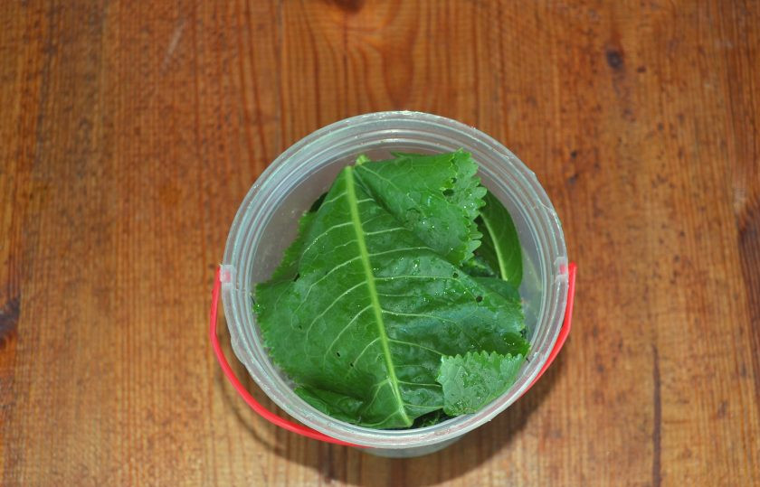 1. Этап. Малосольные огурцы в горячем рассоле: Сверху выложите оставшуюся зелень.