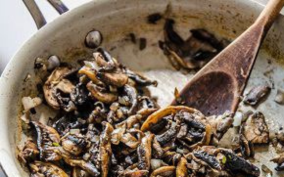 1. Этап. Курник из слоеного теста: Готовим второй слой начинки. Для этого нам нужны шампиньоны. Разрезаем их на кусочки и жарим на сковороде, смазанной сливочным маслом. Жарим, пока влага полностью не испарится. После это добавляем измельченный лук, перемешиваем все между собой, добавляем соль, перец.