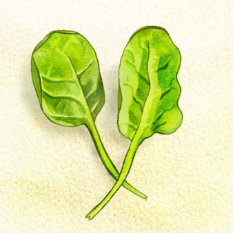 Lentil Salad with Spinach, Salami and Green Olives