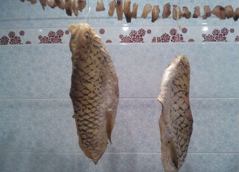 1. Этап. Балык из амура: 3. Во время настаивания периодически помешивайте и переворачивайте кусочки. Затем вывешиваем все кусочки на веревочку и сушим 2 дня.