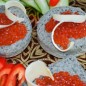Пышки-оладьи Широкая Масленица В теплом молоке развести дрожжи, сахар и 2 ст. л. муки. Оставить в тёплом месте на 20 минут. Опара готова, вбить в нее яйца и соль. Растолочь в ступке таблетки активированного угля. При желании более интенсивного черного цвета, 10 шт.. Просеять оставшуюся муку в большУю миску, добавить опару и растительное масло, замесить тесто. Добавив через сито уголь. Тщательно смешать. Убрать еще на 20 минут. Разогреть сковороду. Сервировочные формы смазать внутри растительным маслом, выставить на сковороду. Влить в каждую по 2 ст. л. теста. Печь 1,5 минуты на среднем огне. Аккуратно перевернуть при помощи лопатки, пышка опустится на дно. Если нет, слегка
