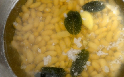 1. Этап. Суп с белой фасолью: Фасоль заливаем водой и оставляем на ночь. Затем меняем воду, добавляем очищенный чеснок, листья шалфея. Отправляем фасоль на огонь, варим минут 30.