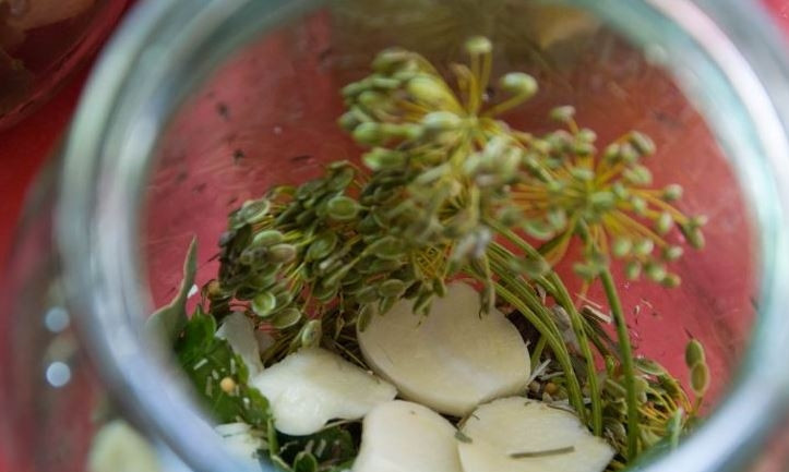 1. Этап. Маринованные корнишоны в банках: Выложите в банку укроп. Очистите чеснок и стебли хрена, вымойте их и нарежьте на пластинки. Добавьте хрен, его листья и чеснок в банку.