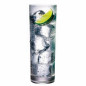 Tanqueray and Tonic