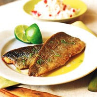 Crisp Lime Brook Trout