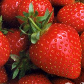 1. Этап. Клубничный суп-пюре: 1. Переберите, помойте и хорошо отряхните клубнику. Вы можете использовать примятые ягоды, которые на стол как отдельное блюдо подавать нельзя – вкусовые качества супа-пюре от этого не пострадают.