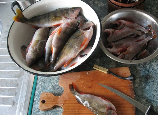 1. Этап. Жареный окунь: Таким же образом снимаем кожу со всей рыбы.