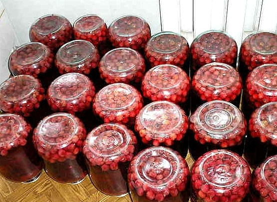 1. Этап. Клубника консервированная: Простерилизовать банки в течение 15-20 минут, сразу укупорить, перевернуть, накрыть одеялом и оставить до полного остывания.