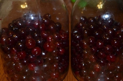 1. Этап. Настойка вишневая на водке: 1. Вишню очищаем от веточек, хвостиков и листьев, хорошо промываем ее и откидываем на дуршлаг, чтобы ушла лишняя жидкость. Распределяем вишню по двум 3-х литровым банкам.