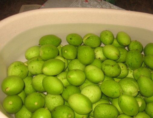 1. Этап. Варенье из зеленых грецких орехов: 2. Орехи помещаем в таз и заливаем холодной водой. В течение дня воду нужно менять до 4 раз, а спустя двое суток можно приступать к приготовлению варенья.