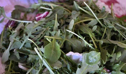 1. Этап. Салат из зелёной чечевицы: Зелень промыть, обсушить.