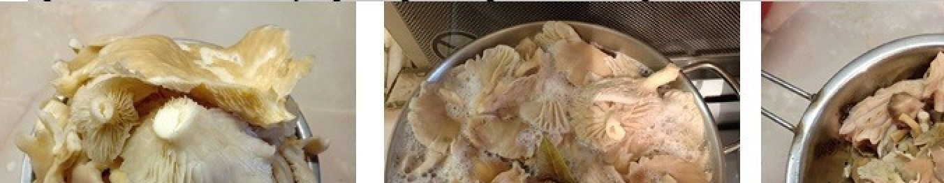 1. Этап. Картошка с вешенками, томленая в духовке: Грибы почистить от мусора, хорошо промыть, отварить в подсоленной воде и откинуть на дуршлаг.