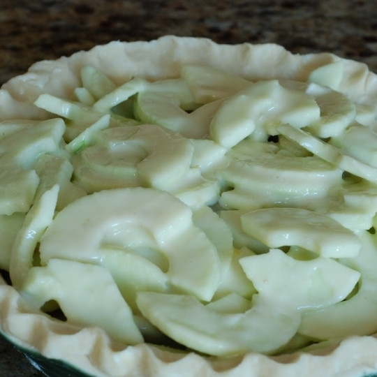 1. Этап. Яблочный пирог со сметаной: Получившуюся начинку кладем на тесто в форму для запекания. Ставим в разогретую до 170 градусов духовку на 40 минут.