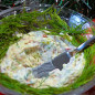 Масло с копчёной индейкой и зеленью