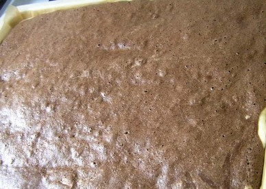 1. Этап. Шоколадный рулет с бананом: И ставим выпекаться в разогретую до 180 градусов духовку минут на 15-18 до готовности бисквитного слоя.