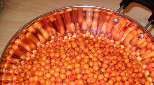 1. Этап. Облепиховый сироп: Сперва облепиху перебираем, очищаем от сора и хорошенько промываем.