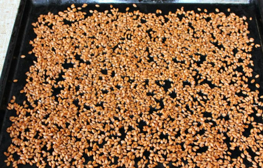 1. Этап. Салат с ростками пшеницы: Как вырастить зеленые ростки дома. Пшеницу хорошо промываем. Далее, заливаем чистой водой и оставляем на 8 часов. Затем, пшеницу промываем и опять оставляем в воде на 8-10 часов. Когда пшеница набухнет, выкладываем ее на противень и накрываем мокрым полотенцем.