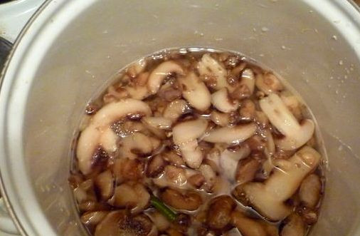 1. Этап. Бигус в духовке: А сами тем временем отвариваем шампиньоны, буквально пару минут.