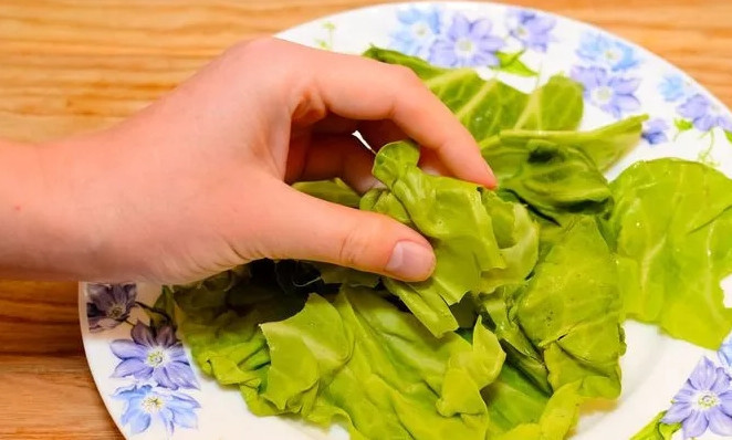 1. Этап. Салат из крабового мяса: 2. Айсберг разбираю и мою, затем вытираю листочки насухо и руками рву каждый, выкладываю на блюдо (как основу).