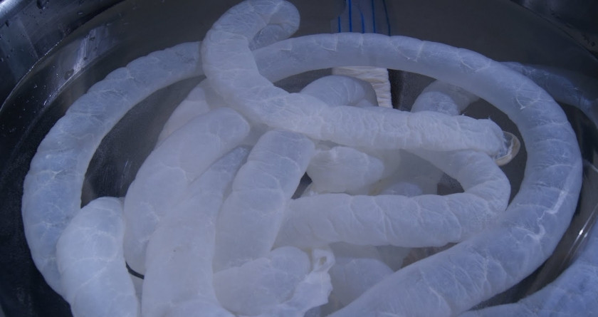 1. Этап. Домашняя колбаса из индейки в кишке: Промойте их под проточной холодной водой.