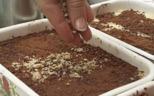 1. Этап. Кисель молочный: Посыпаем наш кисель какао и орехами. Убираем его в холод на 1-2 часа, потом кушаем и наслаждаемся!:)