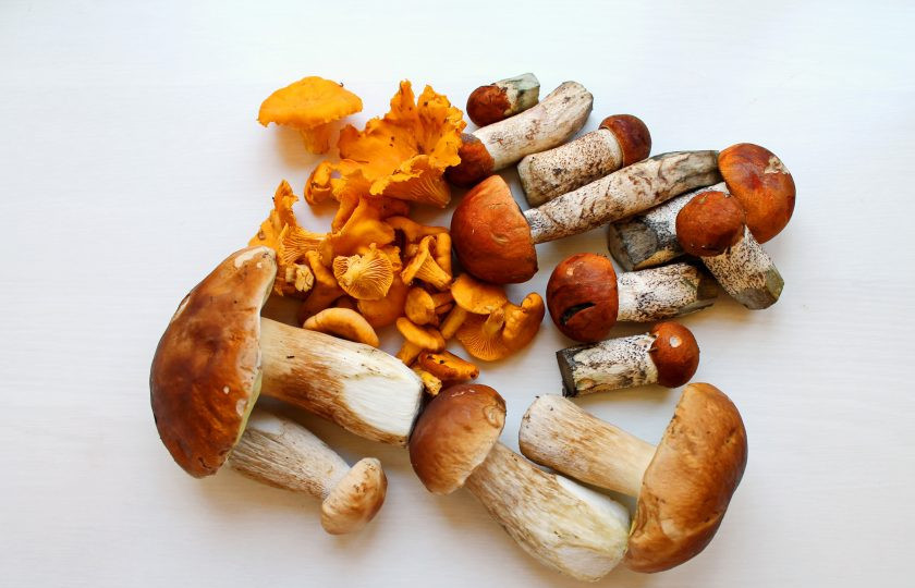 1. Этап. Сушка грибов в микроволновке: Подготовьте все грибы для приготовления в микроволновой печи. Тщательно протрите каждый гриб влажной тряпочкой, срежьте все загрязнения и удалите червивые грибы.