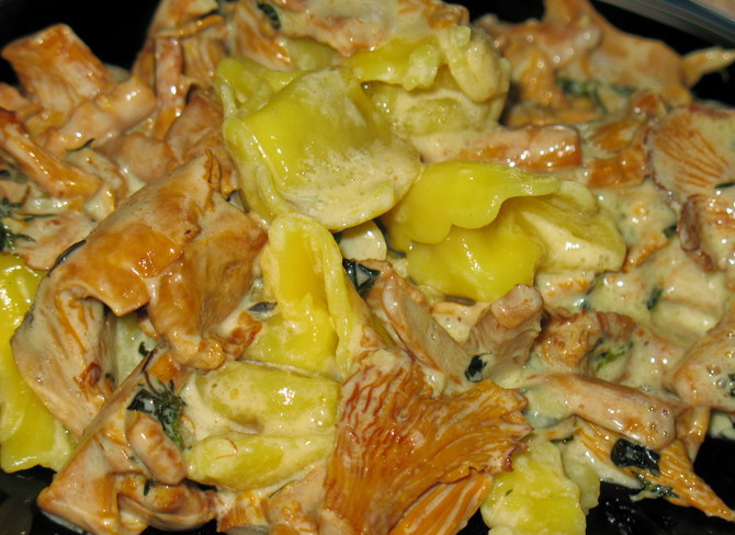 1. Этап. Тортеллини с грибами: Когда тортеллини будут почти готовы, откидываем их на дуршлаг и выкладываем на сковороду в грибной соус, солим и перчим все, перемешиваем и тушим на медленном огне 3-5 минут. Готовое блюдо раскладываем по тарелкам и подаем к столу.