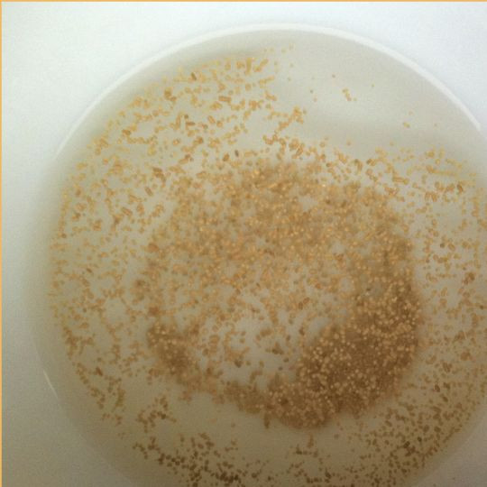 1. Этап. Кнедлики по-чешски: В теплую воду всыпаем сахар и размешиваем до растворения. Затем добавляем сухие дрожжи и чайную ложку муки. Размешиваем и оставляем минут на 15.