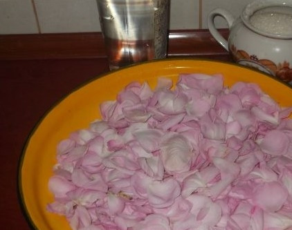 1. Этап. Домашний ликер: 1. Перед тем как приготовить домашний ликер, сорвите цветки роз и отделите лепестки. Оставьте их на 8 часов, чтобы они немного привяли.