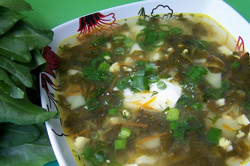 1. Этап. Суп со щавелем и курицей: Шаг 9. Подавать лучше со сметаной, посыпав сверху зеленым луком! Приятного аппетита!