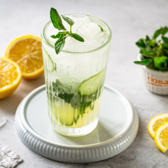 Лимонад Орегано Физз