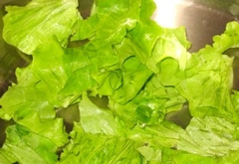 1. Этап. Курица с дыней: Листья салата помыть, обсушить и порвать на кусочки.