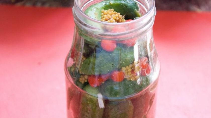 1. Этап. Маринованные корнишоны в банках: На одну литровую банку добавьте по две столовые ложки соли и пять ложек сахара, а также полстакана уксуса. Добавьте перец чили, рябину, горчицу. Залейте все крутым кипятком, закройте крышками.