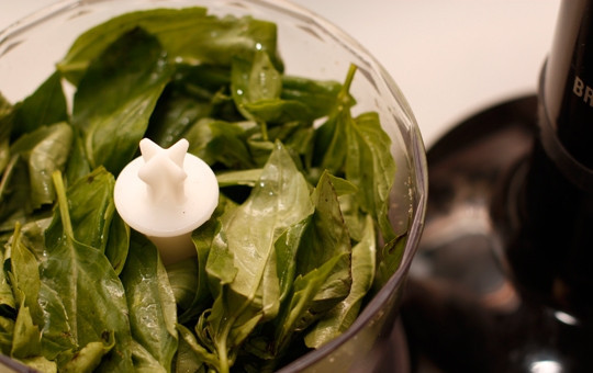 1. Этап. Рулеты из индейки с начинкой: 5. Вымойте базилик, обсушите немного и добавьте в чашу.